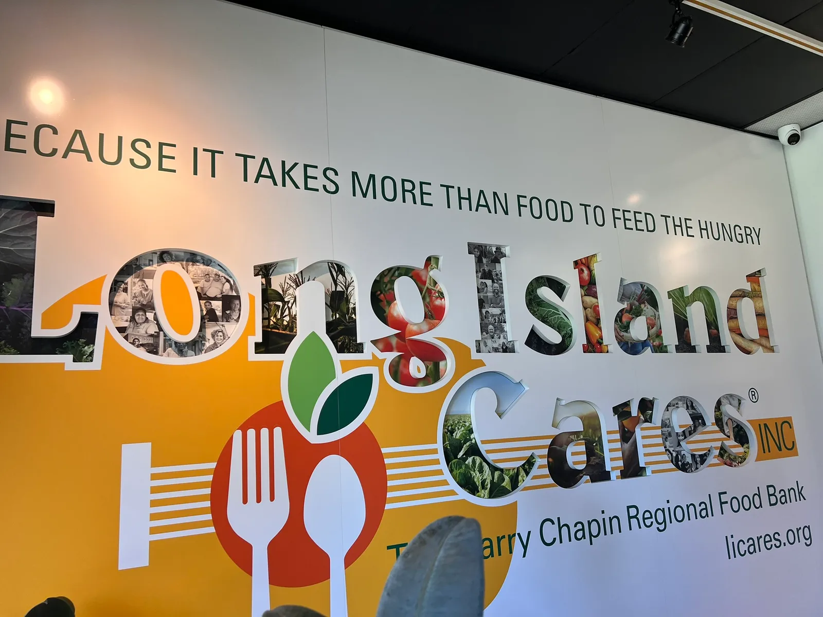 Techworks volunteers at Long Island Cares